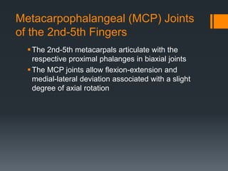 Metacarpophalangeal (MCP) Joints
of the 2nd-5th Fingers
The 2nd-5th metacarpals articulate with the
respective proximal phalanges in biaxial joints
The MCP joints allow flexion-extension and
medial-lateral deviation associated with a slight
degree of axial rotation
 