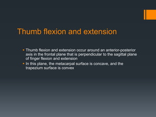 Thumb flexion and extension
 Thumb flexion and extension occur around an anterior-posterior
axis in the frontal plane that is perpendicular to the sagittal plane
of finger flexion and extension
 In this plane, the metacarpal surface is concave, and the
trapezium surface is convex
 