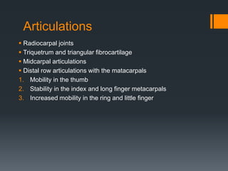 Articulations
 Radiocarpal joints
 Triquetrum and triangular fibrocartilage
 Midcarpal articulations
 Distal row articulations with the matacarpals
1. Mobility in the thumb
2. Stability in the index and long finger metacarpals
3. Increased mobility in the ring and little finger
 