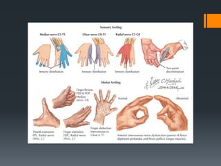 Wrist and hand examination