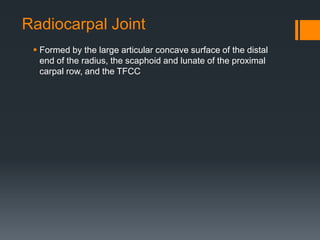 Radiocarpal Joint
 Formed by the large articular concave surface of the distal
end of the radius, the scaphoid and lunate of the proximal
carpal row, and the TFCC
 