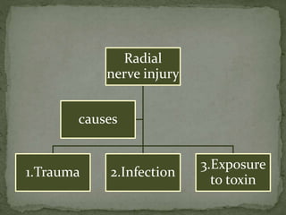 Radial
nerve injury
1.Trauma 2.Infection
3.Exposure
to toxin
causes
 