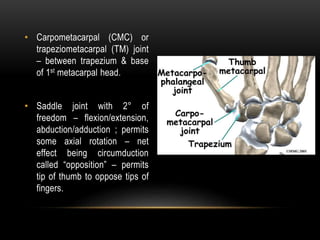 Wrist & hand complex | PPTX