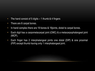 • The hand consist of 5 digits – 1 thumb & 4 fingers
• There are 8 carpal bones.
• In hand complex there are 19 bones & 19...