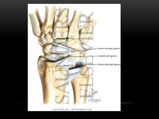 MUSCLES OF WRIST COMPLEX
Primary role –
• To provide a stable base for hand while permitting positional
adjustments & allo...