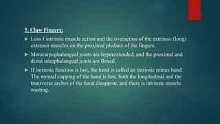 forearm, Wrist, hand joint anatomy & examination | PPTX
