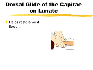 Wrist Hand Presentation | PPT