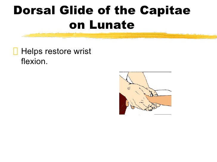 Wrist Hand Presentation