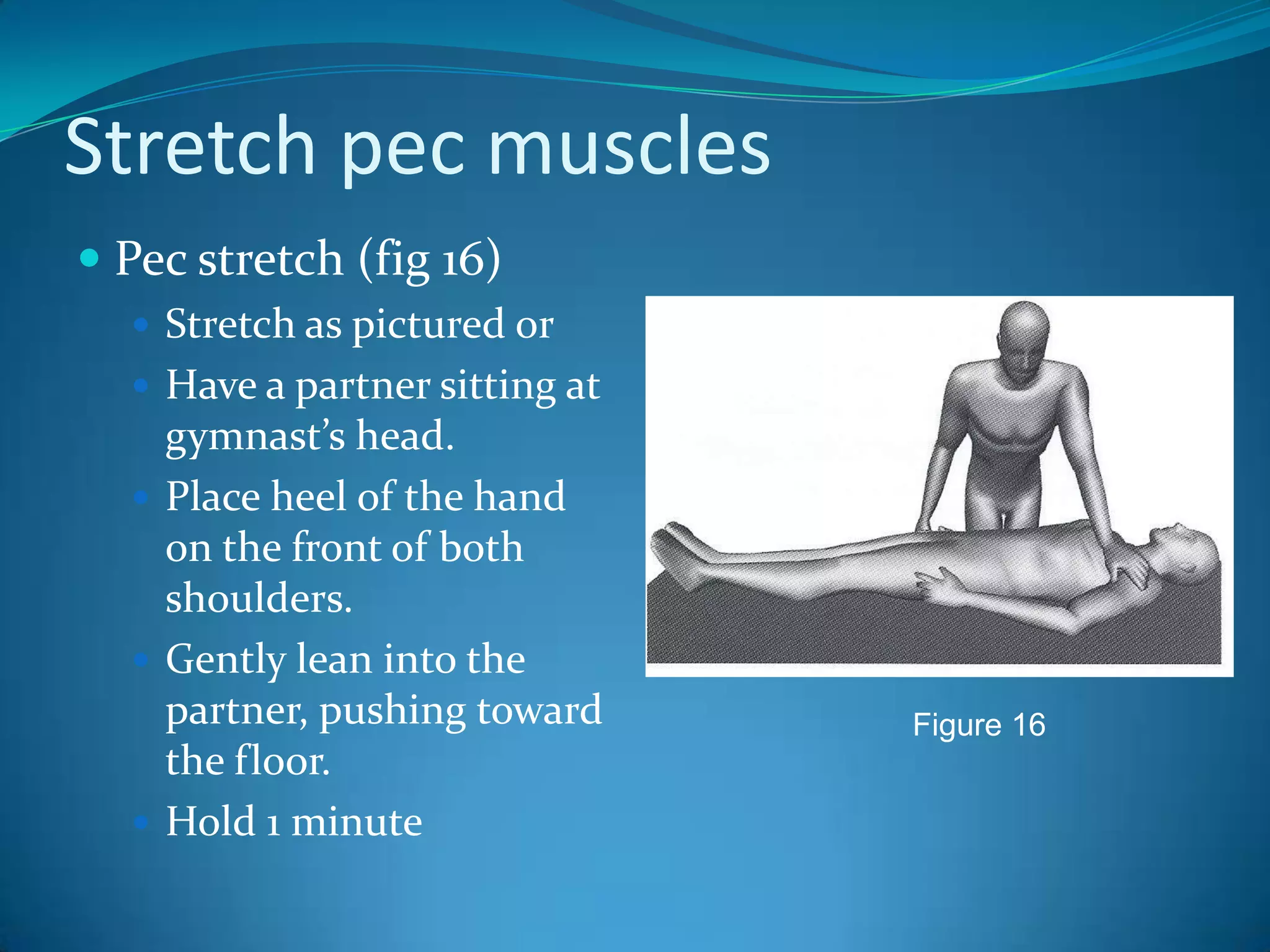 Stretch pec musclesPec stretch (fig 16)Stretch as pictured orHave a partner sitting at gymnast’s head.Place heel of the hand on the front of both shoulders.Gently lean into the partner, pushing toward the floor.Hold 1 minuteFigure 16