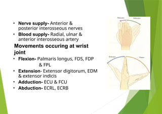 Extensor Pattern Movements Wrist joint - joints of hand lecture.pptx