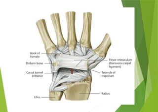 Wrist Multangular Joint Wrist joint - joints of hand lecture.pptx
