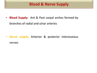 • Blood Supply: Ant & Post carpal arches formed by
branches of radial and ulnar arteries
• Nerve supply: Anterior & posterior interosseous
nerves
Blood & Nerve Supply
 