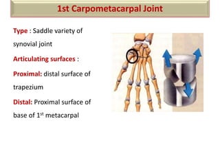 Type : Saddle variety of
synovial joint
Articulating surfaces :
Proximal: distal surface of
trapezium
Distal: Proximal surface of
base of 1st metacarpal
1st Carpometacarpal Joint
 