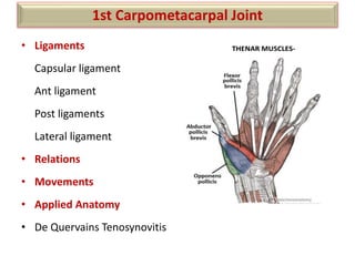 • Ligaments
Capsular ligament
Ant ligament
Post ligaments
Lateral ligament
• Relations
• Movements
• Applied Anatomy
• De Quervains Tenosynovitis
1st Carpometacarpal Joint
THENAR MUSCLES-
 