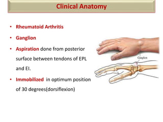 • Rheumatoid Arthritis
• Ganglion
• Aspiration done from posterior
surface between tendons of EPL
and EI.
• Immobilized in optimum position
of 30 degrees(dorsiflexion)
Clinical Anatomy
 