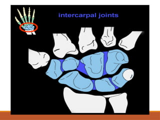Comprehensive Assessment and Anatomy of the Wrist Joint | PPTX