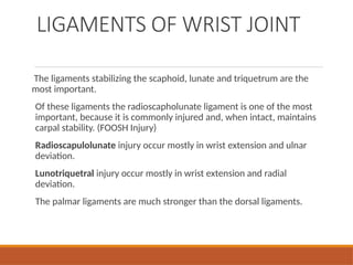 Comprehensive Assessment and Anatomy of the Wrist Joint | PPTX