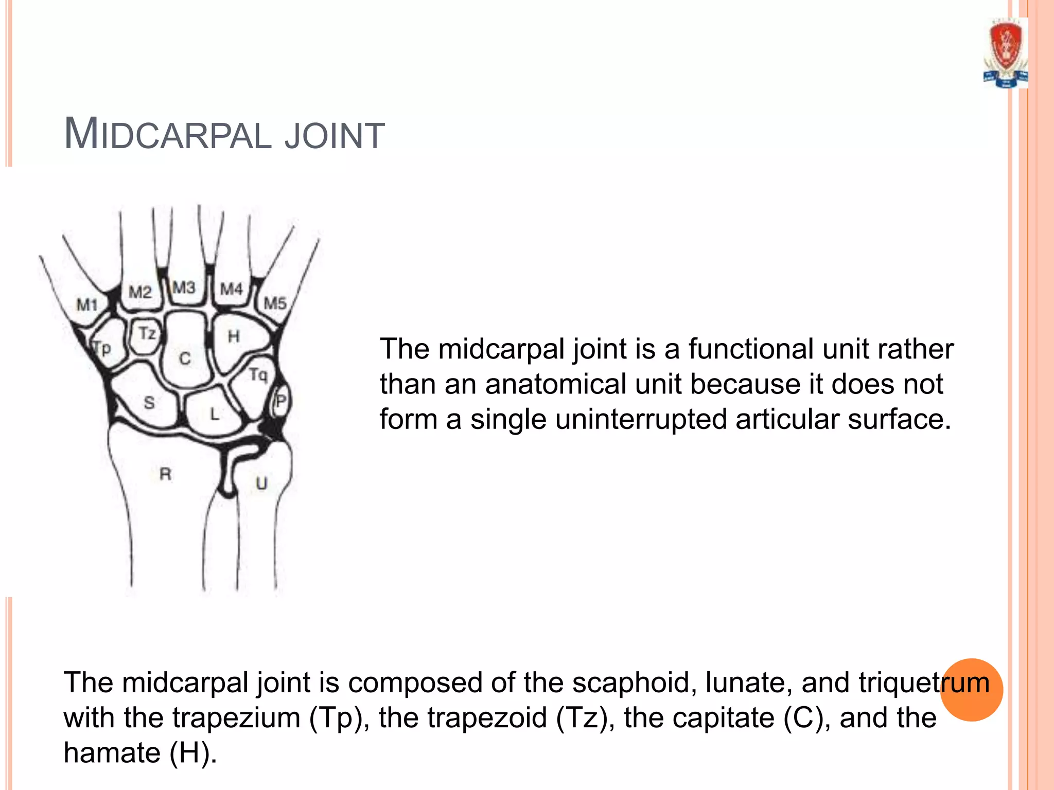 MIDCARPAL JOINT
The midcarpal joint is composed of the scaphoid, lunate, and triquetrum
with the trapezium (Tp), the trapezoid (Tz), the capitate (C), and the
hamate (H).
The midcarpal joint is a functional unit rather
than an anatomical unit because it does not
form a single uninterrupted articular surface.
 