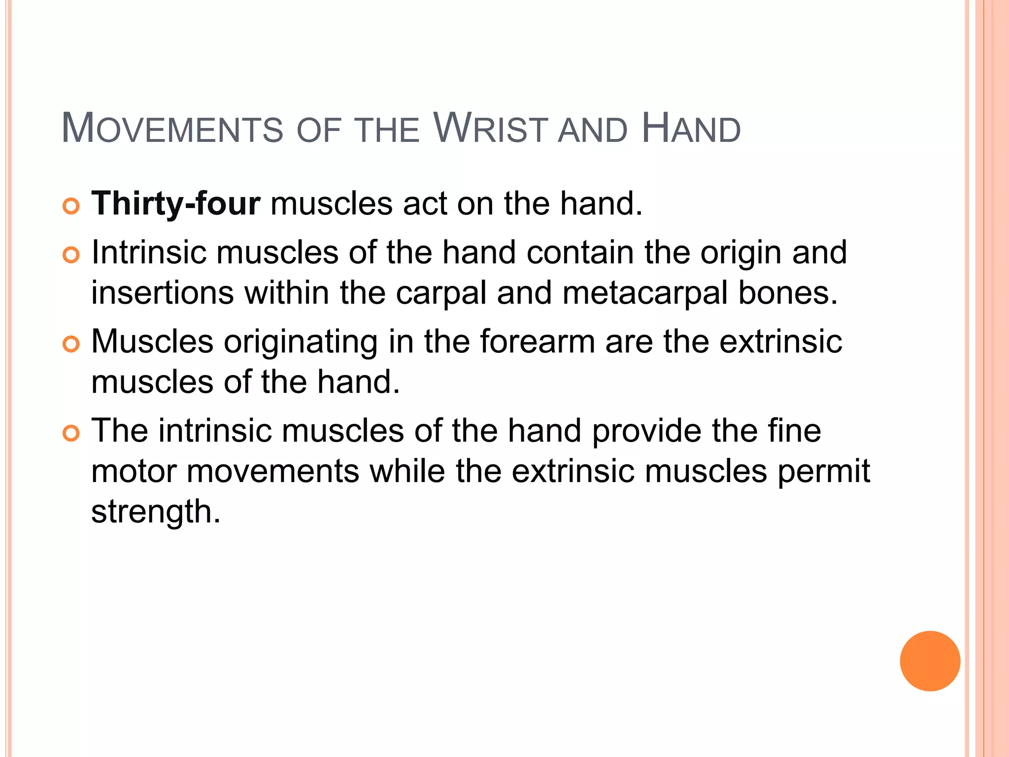 MOVEMENTS OF THE WRIST AND HAND
 Thirty-four muscles act on the hand.
 Intrinsic muscles of the hand contain the origin and
insertions within the carpal and metacarpal bones.
 Muscles originating in the forearm are the extrinsic
muscles of the hand.
 The intrinsic muscles of the hand provide the fine
motor movements while the extrinsic muscles permit
strength.
 