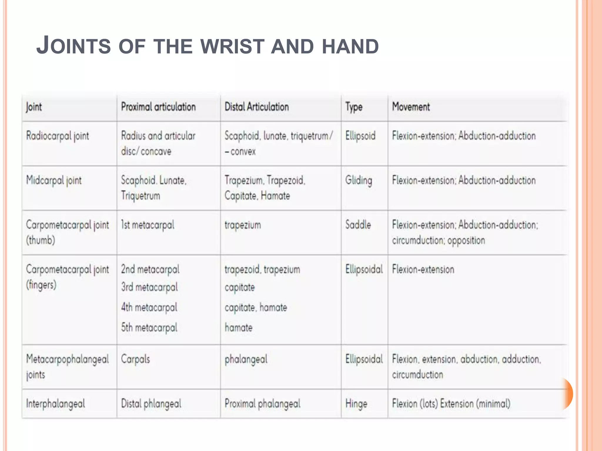 JOINTS OF THE WRIST AND HAND
 