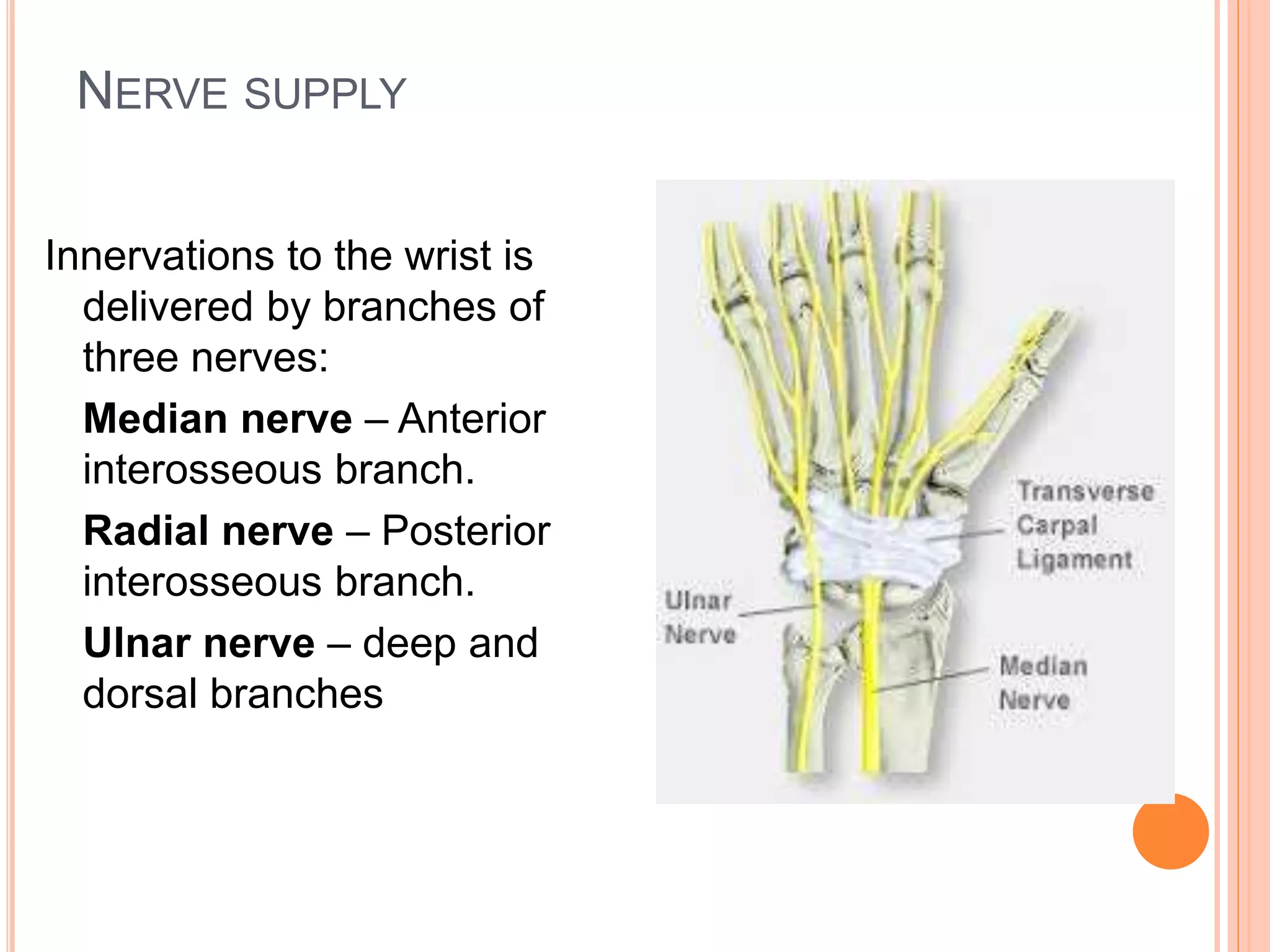 NERVE SUPPLY
Innervations to the wrist is
delivered by branches of
three nerves:
Median nerve – Anterior
interosseous branch.
Radial nerve – Posterior
interosseous branch.
Ulnar nerve – deep and
dorsal branches
 