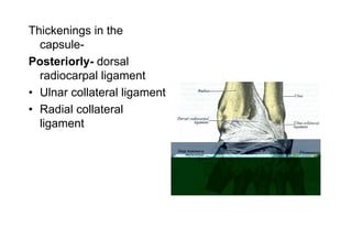 Thickenings in the
capsule-
Posteriorly- dorsal
radiocarpal ligament
• Ulnar collateral ligament
• Radial collateral
ligament
 