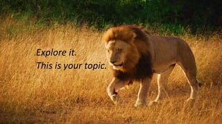 Explore it.
This is your topic.
 