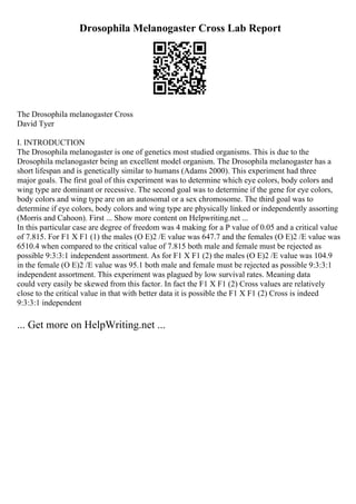 Drosophila Melanogaster Cross Lab Report
The Drosophila melanogaster Cross
David Tyer
I. INTRODUCTION
The Drosophila melanogaster is one of genetics most studied organisms. This is due to the
Drosophila melanogaster being an excellent model organism. The Drosophila melanogaster has a
short lifespan and is genetically similar to humans (Adams 2000). This experiment had three
major goals. The first goal of this experiment was to determine which eye colors, body colors and
wing type are dominant or recessive. The second goal was to determine if the gene for eye colors,
body colors and wing type are on an autosomal or a sex chromosome. The third goal was to
determine if eye colors, body colors and wing type are physically linked or independently assorting
(Morris and Cahoon). First ... Show more content on Helpwriting.net ...
In this particular case are degree of freedom was 4 making for a P value of 0.05 and a critical value
of 7.815. For F1 X F1 (1) the males (O E)2 /E value was 647.7 and the females (O E)2 /E value was
6510.4 when compared to the critical value of 7.815 both male and female must be rejected as
possible 9:3:3:1 independent assortment. As for F1 X F1 (2) the males (O E)2 /E value was 104.9
in the female (O E)2 /E value was 95.1 both male and female must be rejected as possible 9:3:3:1
independent assortment. This experiment was plagued by low survival rates. Meaning data
could very easily be skewed from this factor. In fact the F1 X F1 (2) Cross values are relatively
close to the critical value in that with better data it is possible the F1 X F1 (2) Cross is indeed
9:3:3:1 independent
... Get more on HelpWriting.net ...
 