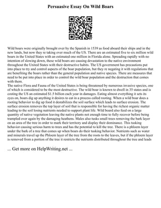 Persuasive Essay On Wild Boars
Wild boars were originally brought over by the Spanish in 1539 as food aboard their ships and in the
new lands, but now they re taking over much of the US. There are an estimated five to six million wild
boars in the United States with an estimated one million in Florida alone. Spreading rapidly with no
intention of slowing down, these wild boars are causing devastation to the native environment
throughout the United States with their destructive habits. The US government has precautions put
into place to try and control aspects of the boar population, but they re negating it with regulations that
are benefiting the boars rather than the general population and native species. There are measures that
need to be put into place in order to control the wild boar population and the destruction that comes
with them.
The native Flora and Fauna of the United States is being threatened by numerous invasive species, one
of which is considered to be the most destructive. The wild boar is known to dwell in 35 states and is
costing the US an estimated $1.5 billion each year in damages. Eating almost everything it sets its
eyes on, boars dig up anything it desires to eat in a process called rooting. When a wild boar does a
rooting behavior to dig up food it destabilizes the soil surface which leads to surface erosion. The
surface erosion removes the top layer of soil that is responsible for having the richest organic matter
leading to the soil losing nutrients needed to support plant life. Wild board also feed on a large
quantity of native vegetation leaving the native plants not enough time to fully recover before being
trampled over again by the damaging heathens. Males also tusks small trees removing the bark layer
on an area of the tree in order to mark their territory and display their dominance. This tusking
behavior causing serious harm to trees and has the potential to kill the tree. There is a phloem layer
under the bark of a tree that comes up when boars do their tusking behavior. Nutrients such as water
and minerals travel up the Phloem layer of the tree from the roots to the leaves, but if the phloem layer
is removed from a portion of the tree it restricts the nutrients distributed throughout the tree and leads
... Get more on HelpWriting.net ...
 