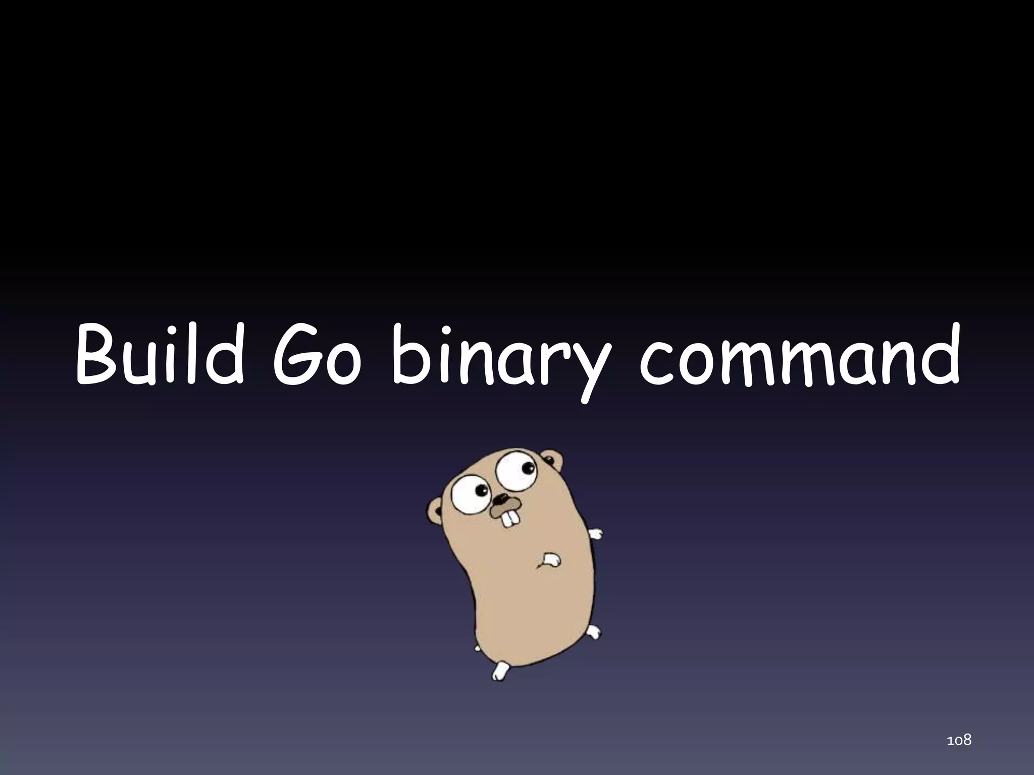 Build Go binary command 108 