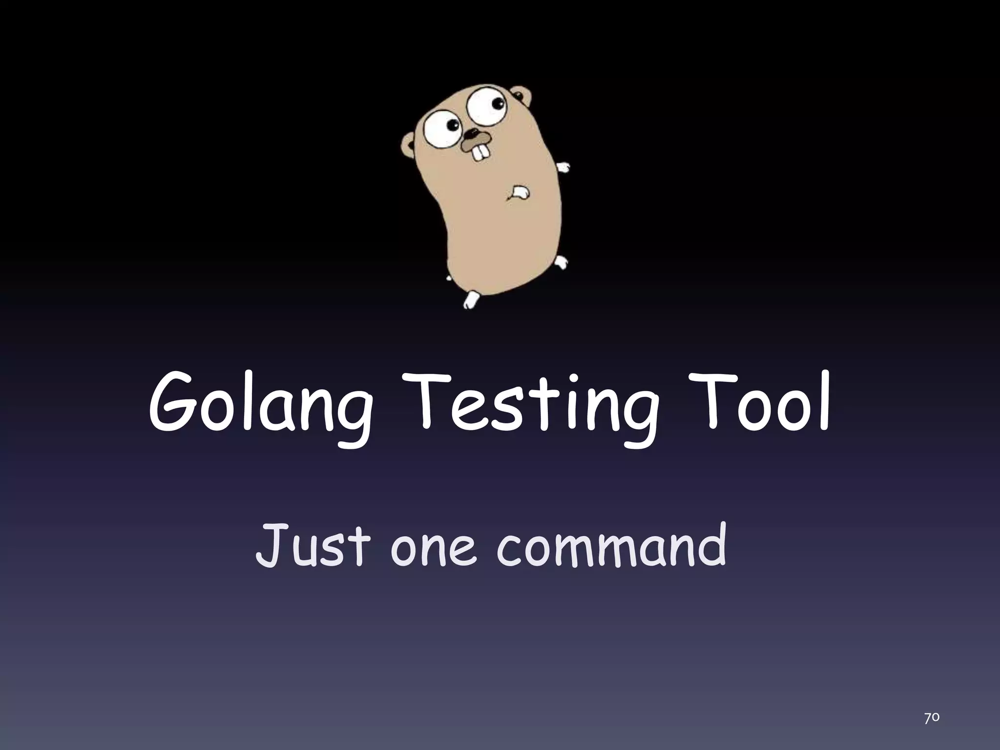 Golang Testing Tool Just one command 70 