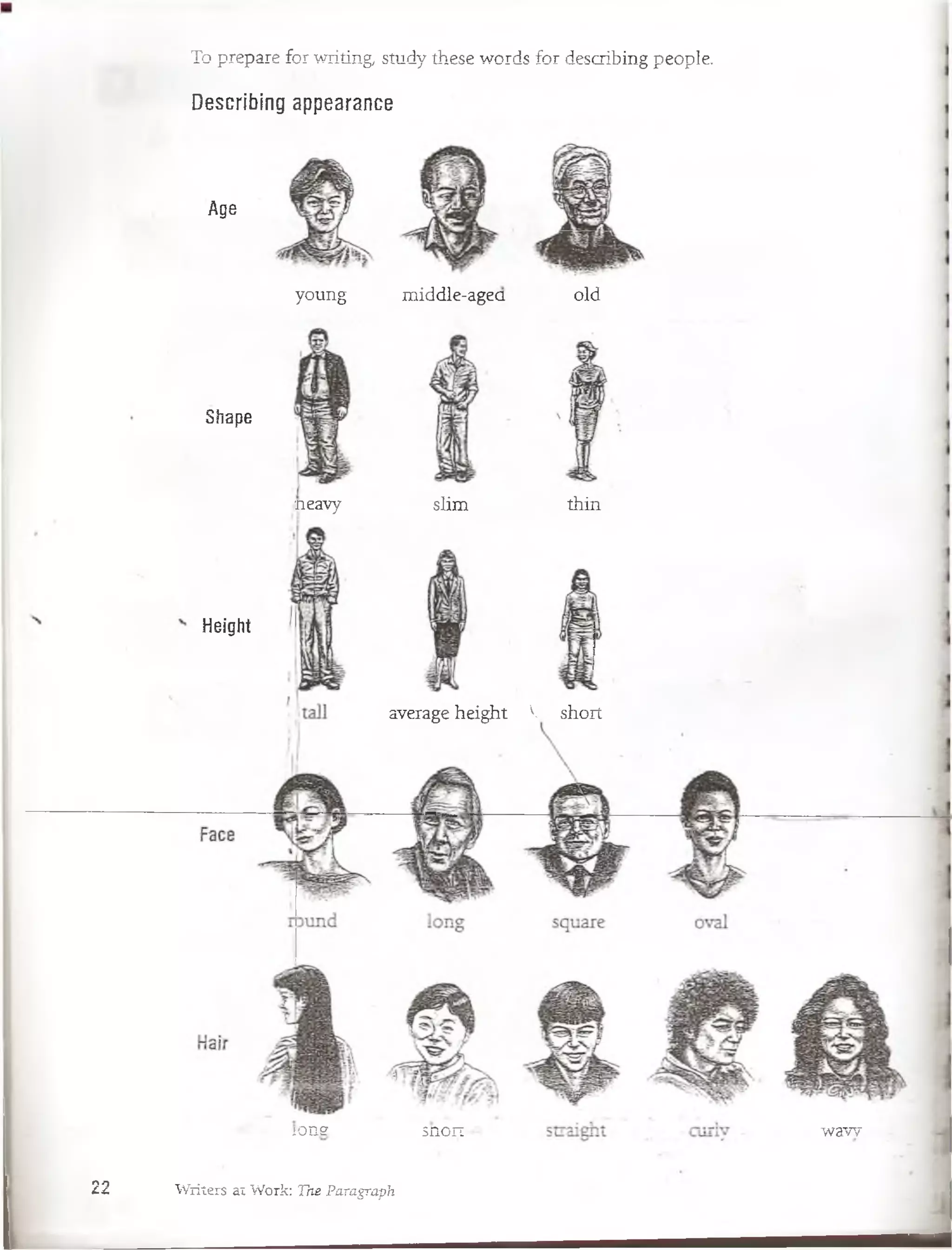 To prepare for writing, -study these words for describing people.
Describing appearance
Age
young middle-agea oíd
Shape
neavy slim thin
Height
average height V short
io n ? snort waw
22 Writers at Work: Trie Paragraph
«
 