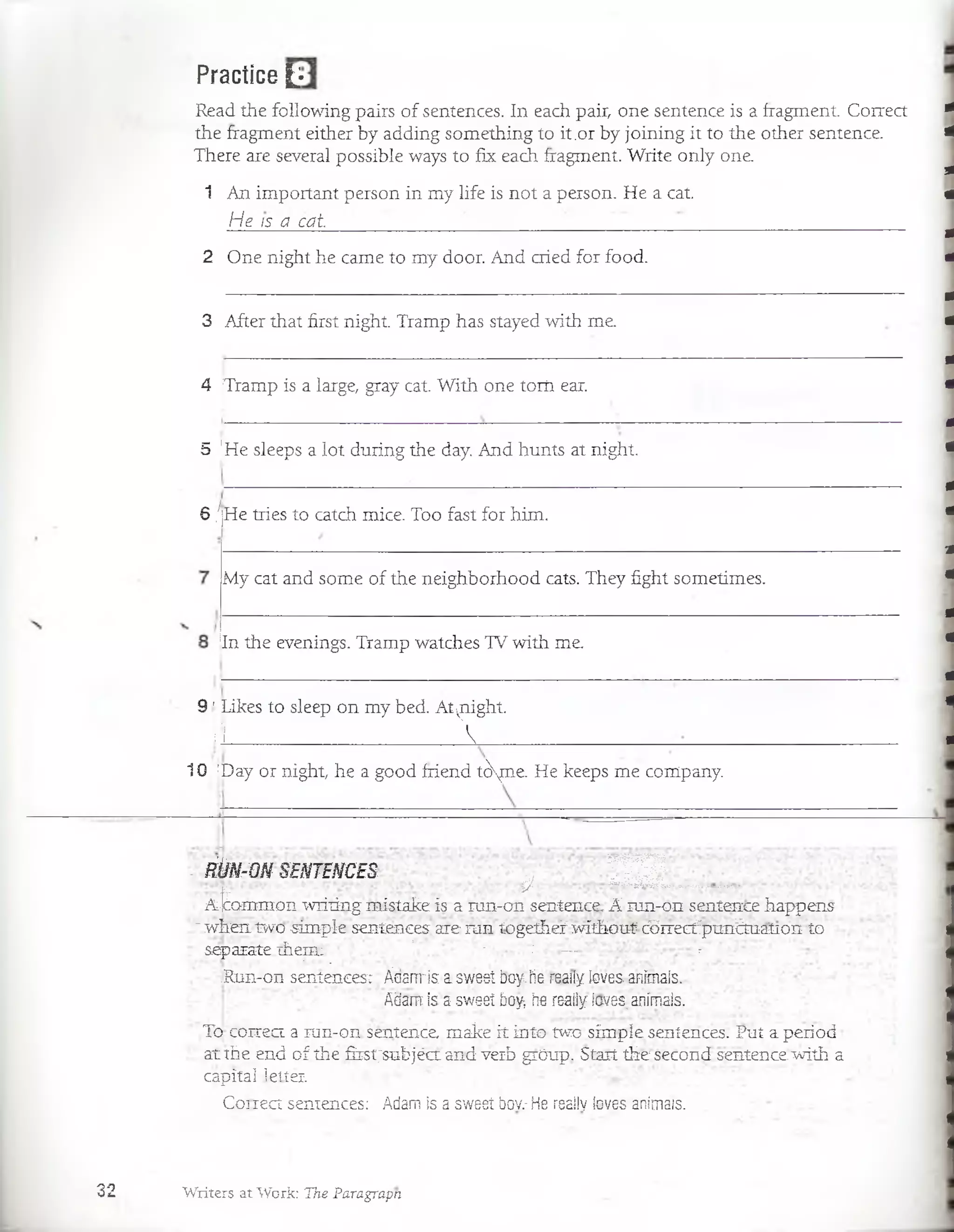 Practice £•
Read the following pairs. of sentences. In each pair, one sentence is a fragment. Correct
the fragment either by adding something to it.or by joining it to the other sentence.
There are several possible ways to fix each fragment. Write only one.
1 An important person in my life is not a person. He a cat
He ¡s a cat. ' '' . ,; ________
2 One night he carne to my door. And cried for food.
3 After that first night. Tramp has stayed with me.
4 Tramp is a large, gray cat. With one toril ear.
5 ¡He sleeps a lot during the day. And hunts at night
6 /¡He tries to catch mice. Too fast for him.
My cat and some of the neighborhood cats. They fight sometimes.
In the evenings. Tramp watches TV with me.
9 'Likes to sleep on my bed. Atvnight.
i!í 1
10 [Day or night, he a good friend tóme. He keeps me company.
— —
RÚN-ON SENTENCES y f j j j
A^ommon wriiing mistake ís a ran-on sentence. A ran-on sentence happens
" wíierx two -simple sentences are ran togeíhefwíthout cbrrecfpunétaation to
sepaiate thenu ’ ■  — :
; ' • ; . ■ •
.Run-on sentences:; Aqarrris aswest boy.he reaiíyioves. anímais.
Adamiss swseí boy he reailyicves.anímais.
To- correa, a ran-on sentence, malee It Into two. simple sentences. Put a period =
arthe end of the first/subjéa and verb gróup, Sta^t the second sentence.with a
capital ietter.
Coirect sentences: Adamis a sweei bov.-He reaílv íoves snimais.
32 Writers at Work: The Paragrapn
 