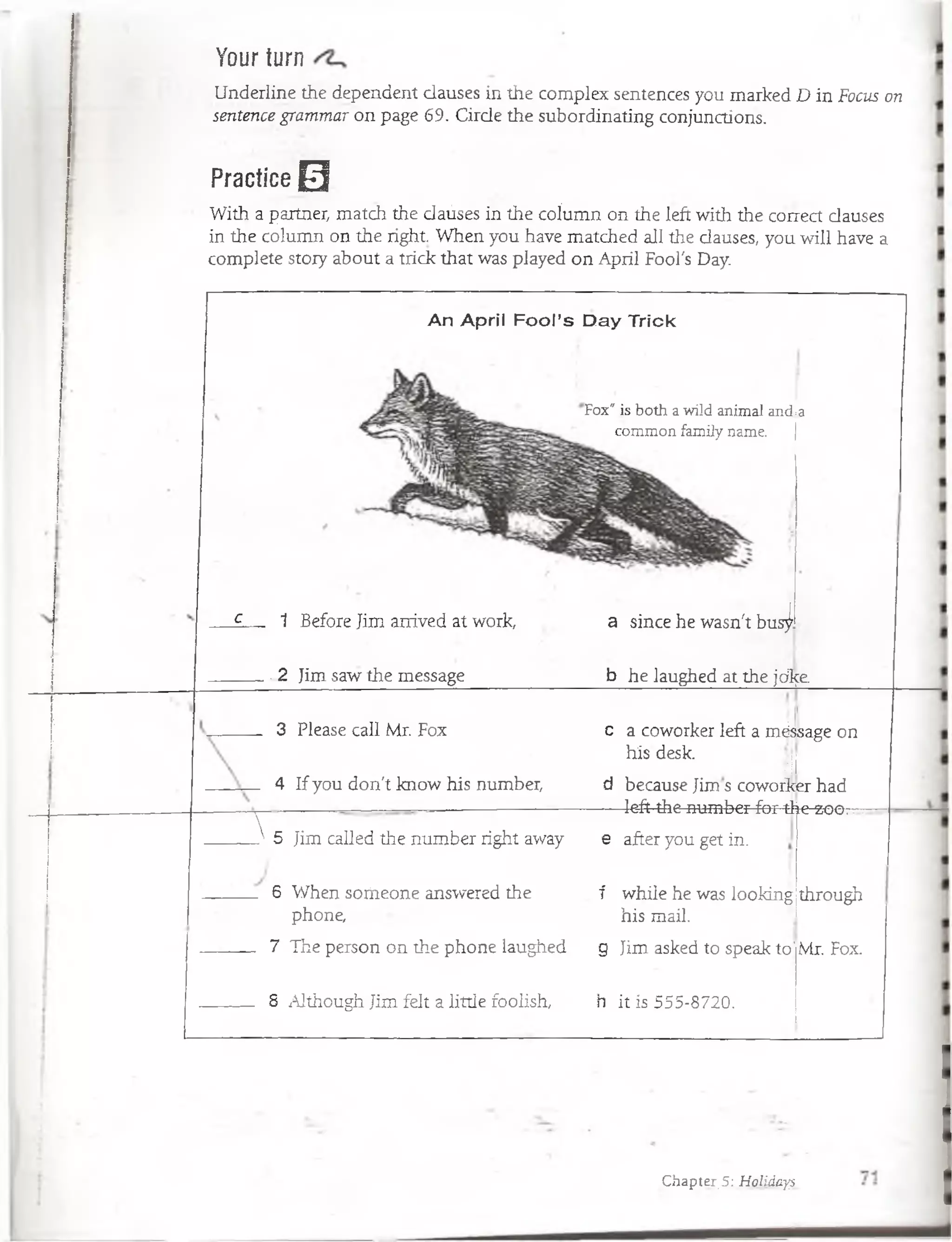 Your turn
Underline the dependent clauses in the complex sentences you marked D in Focus on
sentence grammar on page 69. Cirde the subordinating conjunctions.
Practice 0
With a partner, match the daúses in the coíumn on the left with the correct dauses
in the column on the right. When you have matched all the dauses, you will have a
complete stoiy about a trick that was played on April Fool's Day.
An April Fool’s Day Trick
Fox' is both a wild animal and¡a
common family ñame. |
c-..— 1 BeforeJim arrived at work, a since he wasn't bus^.
— -2 Jim saw the message
_
b he laughed at the jol^e
I
3 Pléase cali Mr. Fox c a coworker left a mdssage on
his desk.
Ú
4 If you don't know his number, d because Jims coworker had
— ■ ---------- ------------ —-— . left the number for the-zoo ^
5 Jim called the nximber right away . e after you get in.
f while he was looking
his mail.
through6 When soiiieone answered the
phone,
7 The person on the phone laughed g Jim asked to speak tolMr. Fox.
8 Although Jim fdt a little foolish, h it is 555-8720.
Chapter.5; Holidays
 