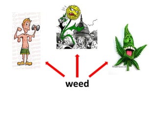 weed