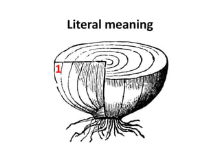 Literal meaning1