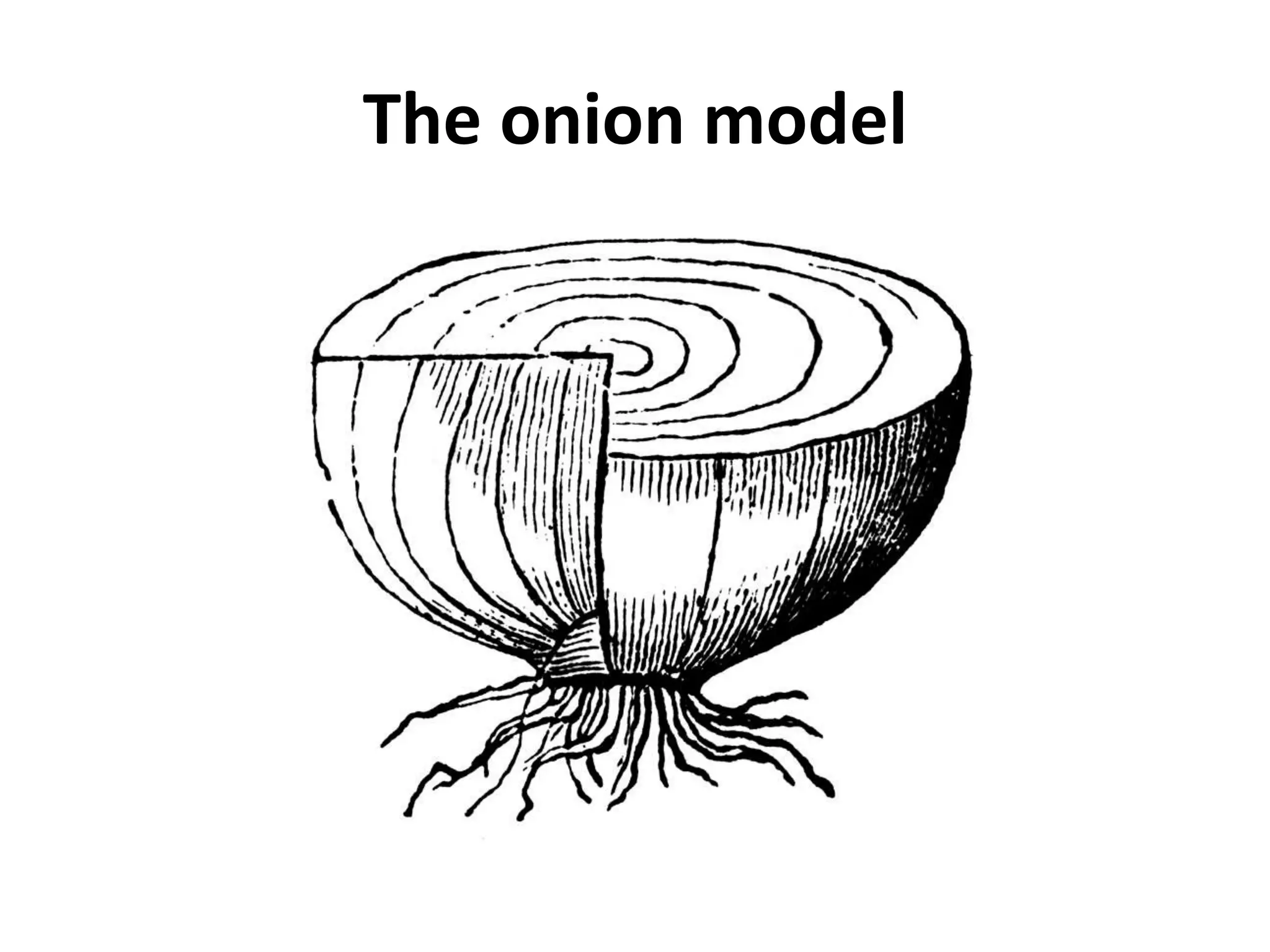 The onion model