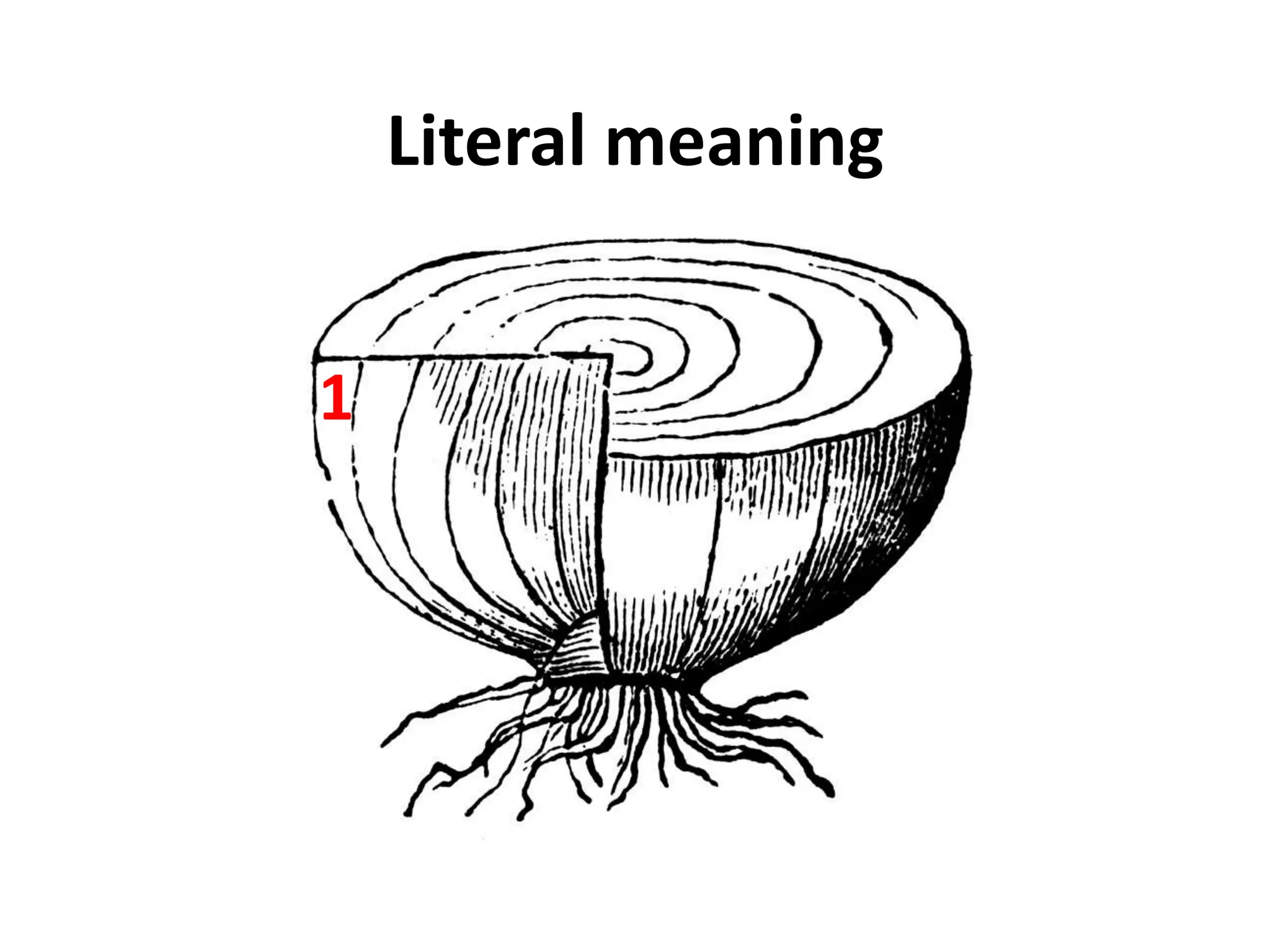 Literal meaning1