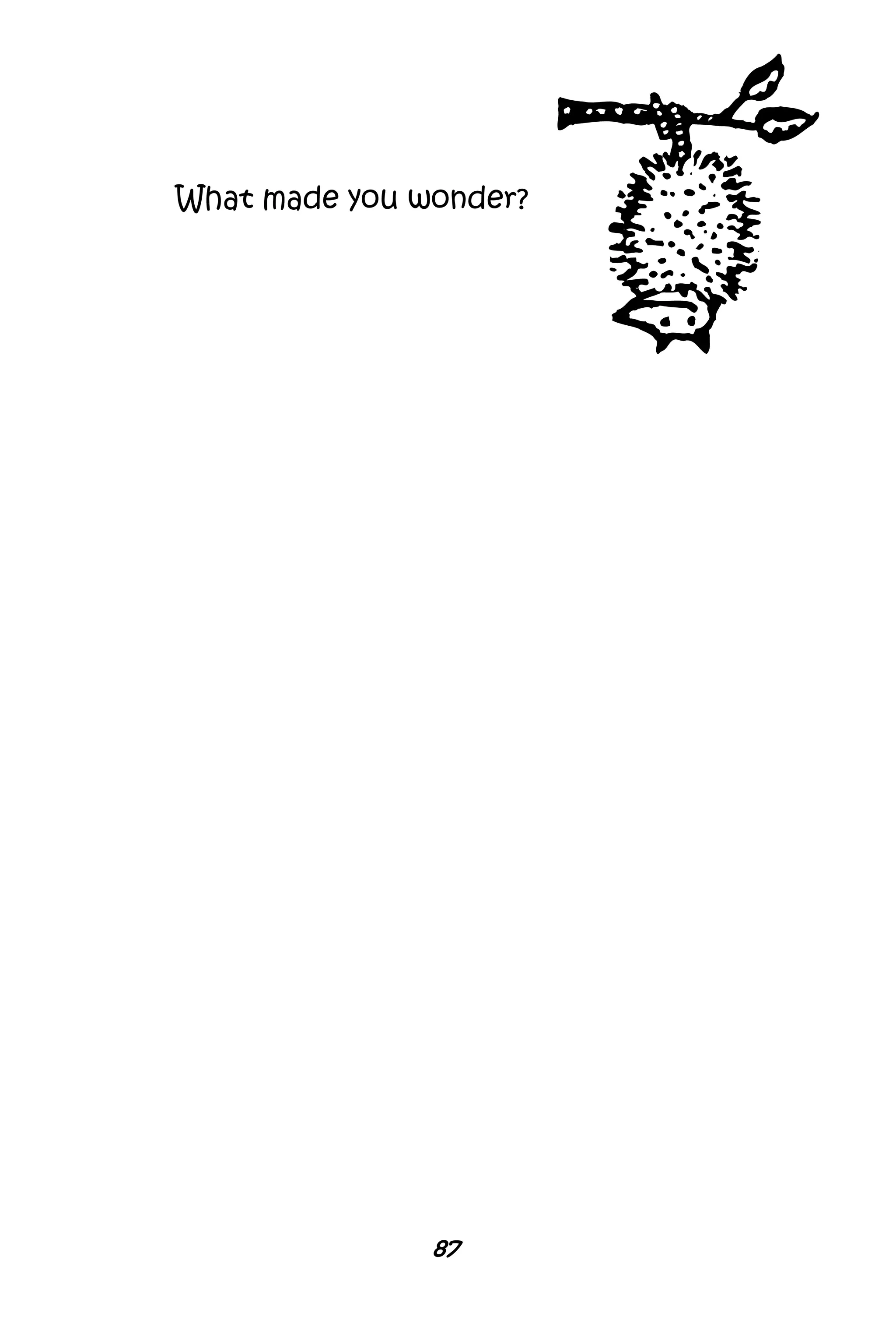 87
What made you wonder?
 