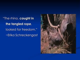 “ The rhino,  caught in the tangled rope , looked for freedom.” ~Erika Schreckengost 