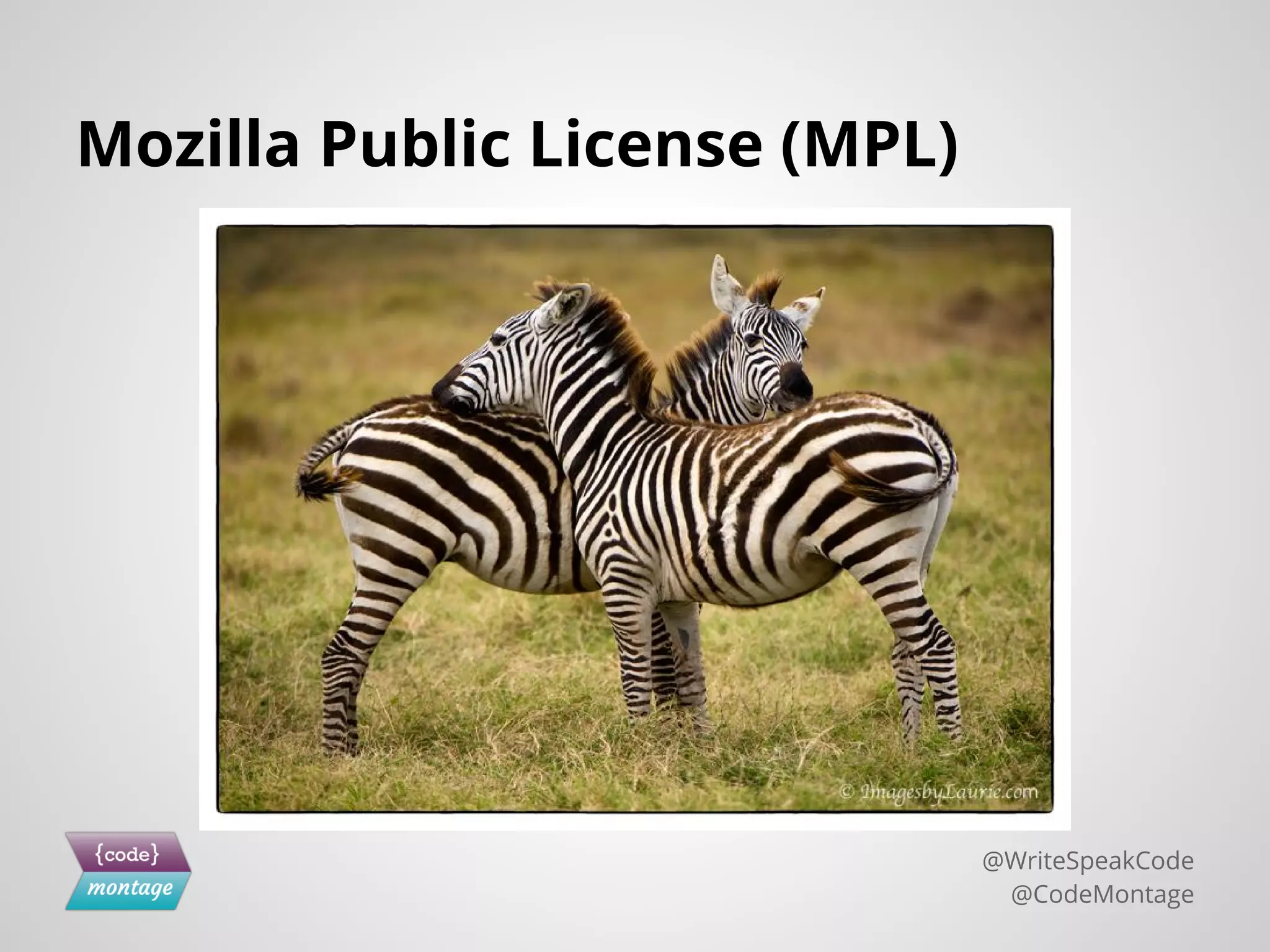 Mozilla Public License (MPL)
@WriteSpeakCode
@CodeMontage
