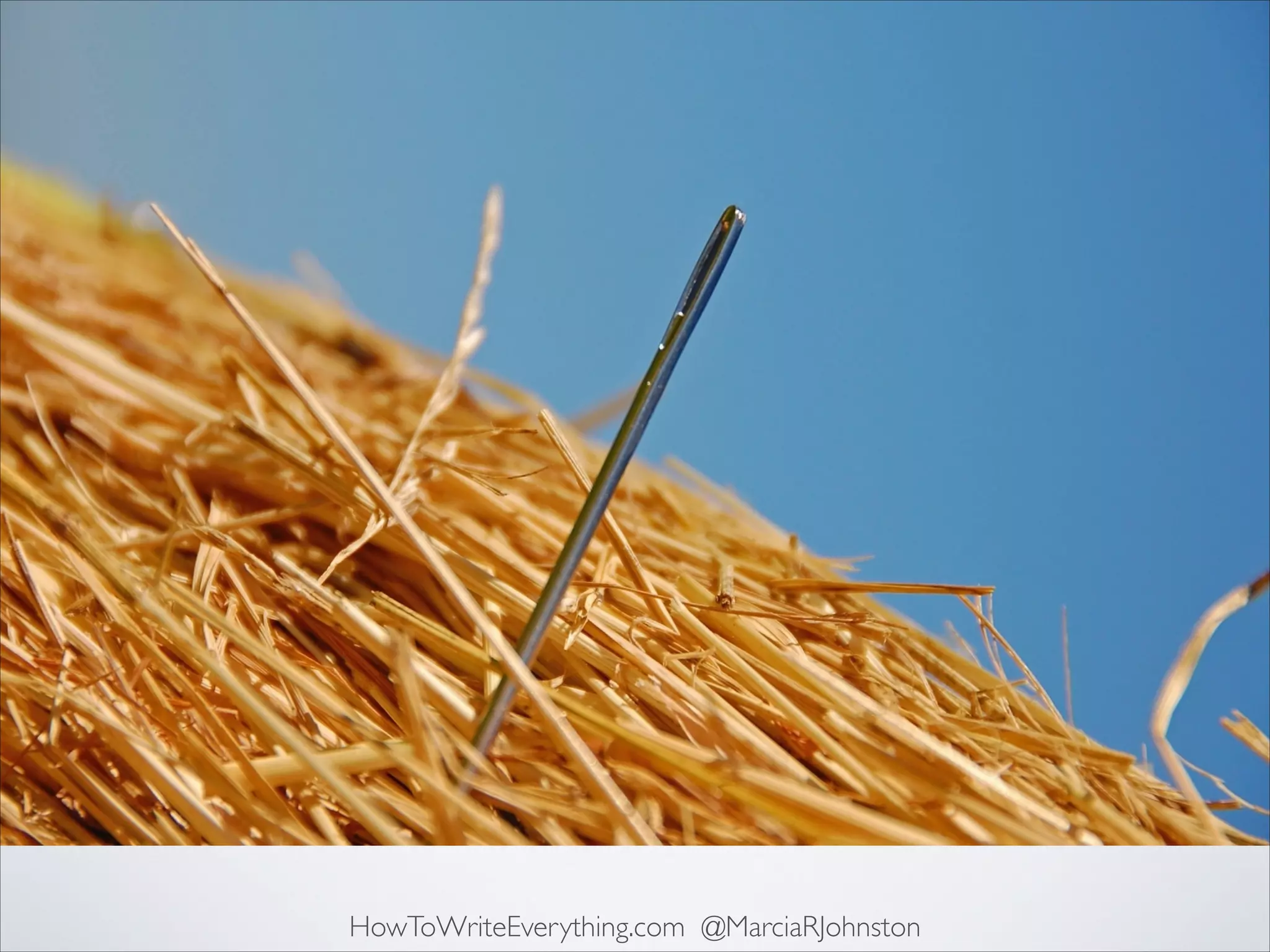HowToWriteEverything.com @MarciaRJohnston

 