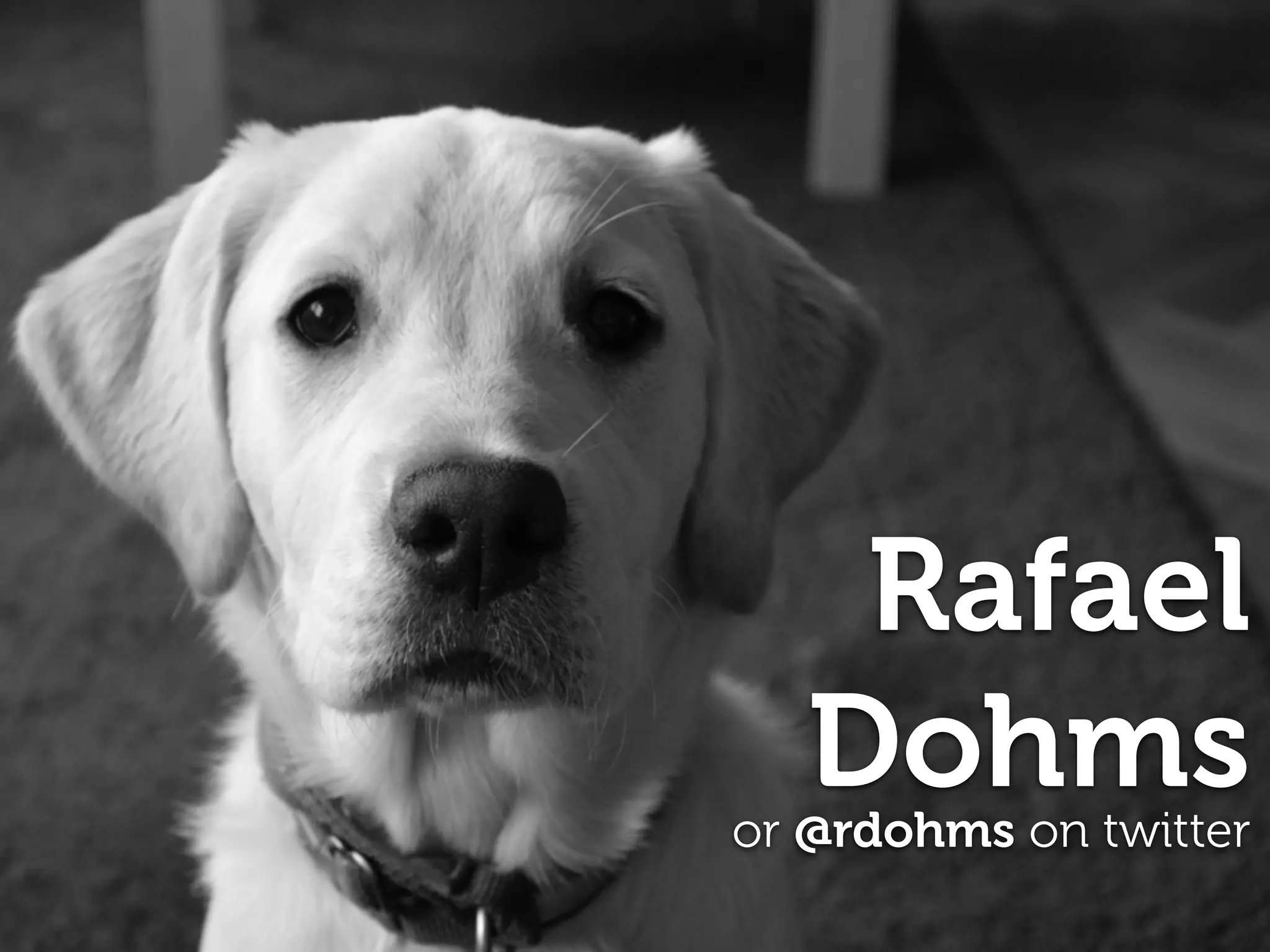 Rafael
Dohmsor @rdohms on twitter
 