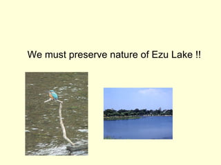 　 We must preserve nature of Ezu Lake !! 