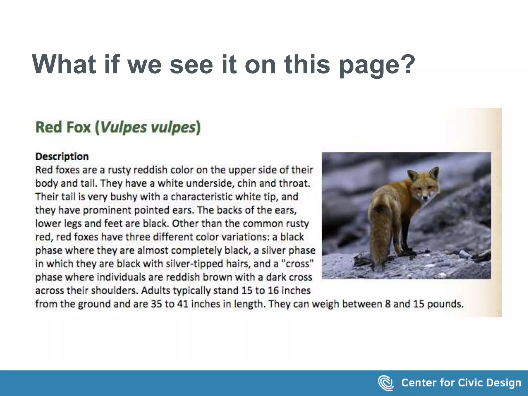 What if we see it on this page? 
The text on page shown in the image says 
Red Fox (Vulpes vulpes) 
Description 
Red foxes are a rusty reddish color on the upper side of their body and tail. They have a white 
underside, chin and throat. Their tail is very bushy with a characteristic white tip, and they have 
prominent pointed ears. The backs of the ears, lower legs and feet are black. Other than the 
common rusty red, red foxes have three different color variations: a black phase where they are 
almost completely black, a silver phase in which they are black with silver-tipped hairs, and a 
"cross" phase where individuals are reddish brown with a dark cross across their shoulders. Adults 
typically stand 15 to 16 inches from the ground and are 35 to 41 inches in length. They can weigh 
between 8 and 15 pounds. 
 