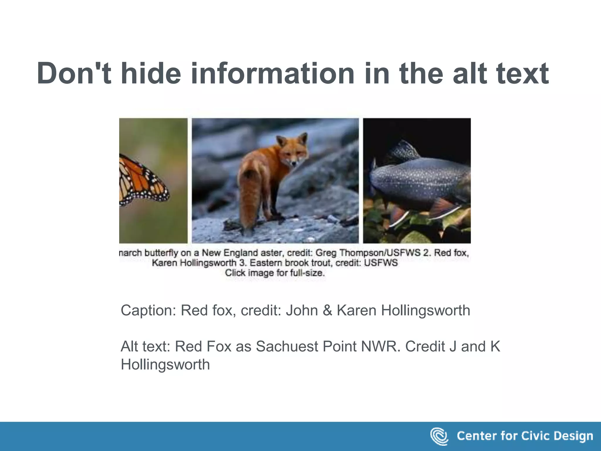 Don't hide information in the alt text 
Caption: Red fox, credit: John & Karen Hollingsworth 
Alt text: Red Fox as Sachuest Point NWR. Credit J and K 
Hollingsworth 
 