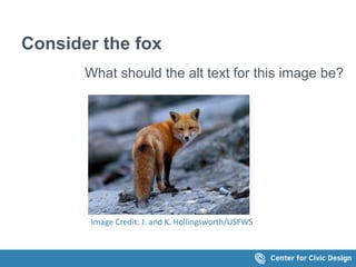 Consider the fox 
What should the alt text for this image be? 
Image Credit: J. and K. Hollingsworth/USFWS 
 