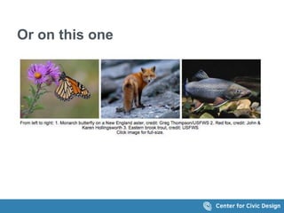Or on this one 
The screen shows 3 images with this caption: 
From left to right: 1. Monarch butterfly on a 
New England aster, credit: Greg 
Thompson/USFWS 2. Red fox, credit: John & 
Karen Hollingsworth 3. Eastern brook trout, 
credit: USFWS Click image for full-size. 
 