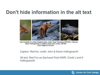 Don't hide information in the alt text 
Caption: Red fox, credit: John & Karen Hollingsworth 
Alt text: Red Fox as Sachuest Point NWR. Credit J and K 
Hollingsworth 
 