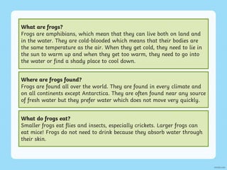 Frog Paragraph writing-in-paragraphs warm-up activity for students | PPTX